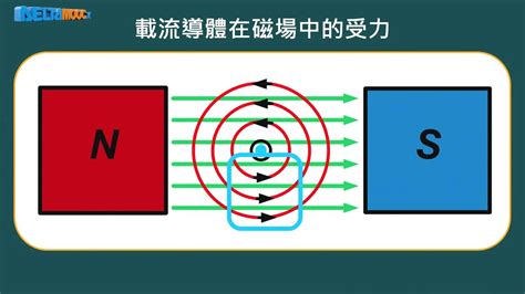 磁場對人的影響|磁場對人體有何效應？